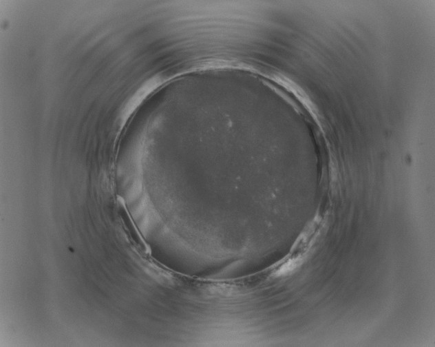 X0000074261097200609081730