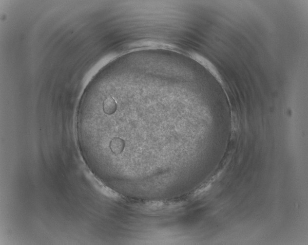 X0000074261098200609081730