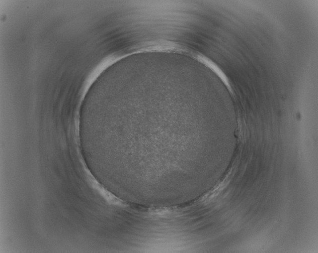 X0000074261099200609081730