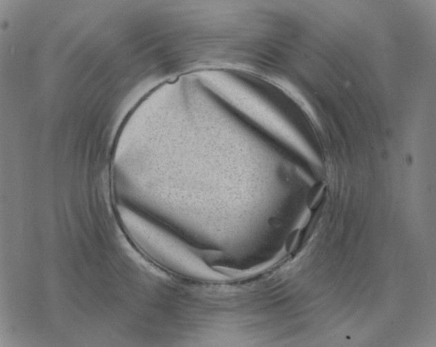 X0000074261100200609081730