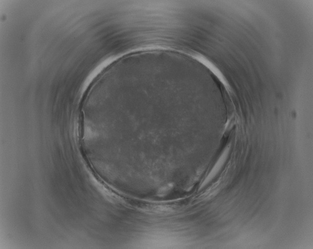 X0000074261101200609081730