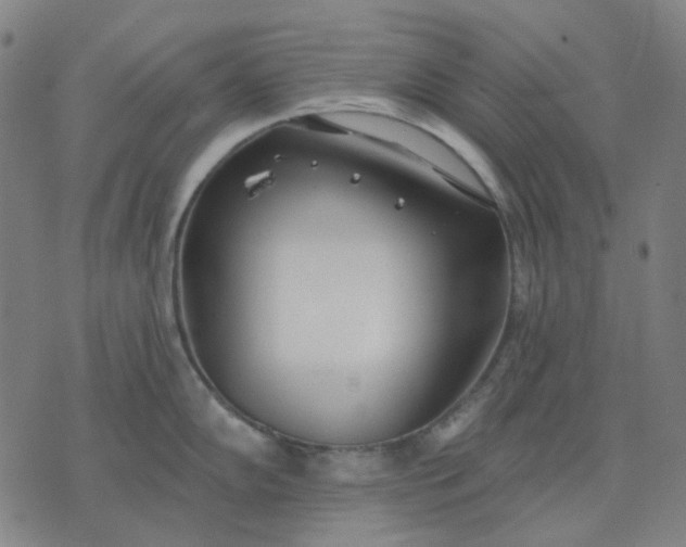 X0000074261102200609081730