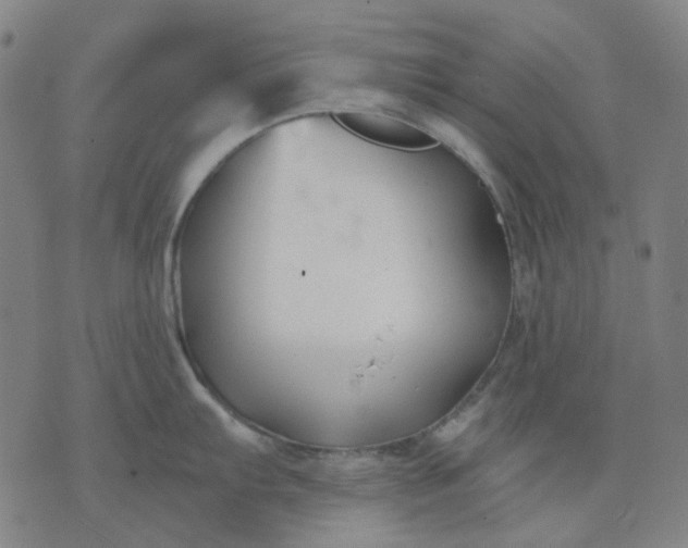 X0000074261103200609081730