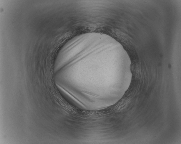 X0000074261105200609081729