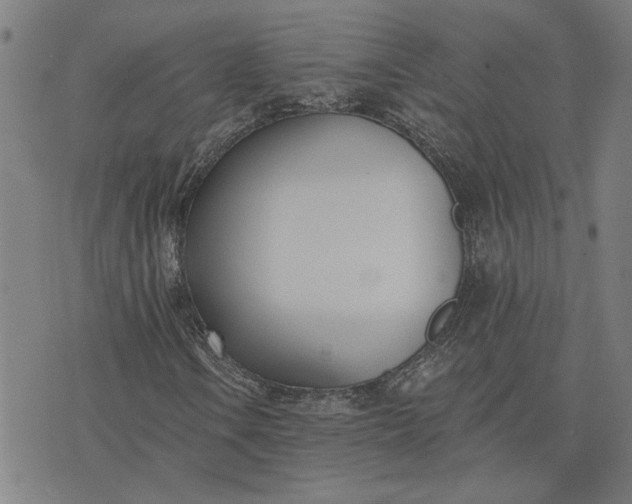 X0000074261106200609081729