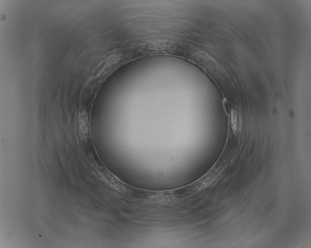 X0000074261107200609081729