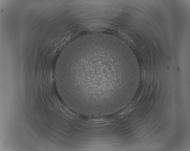 X0000074261108200609081729