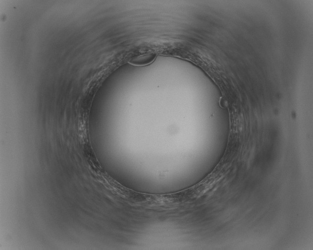 X0000074261109200609081729