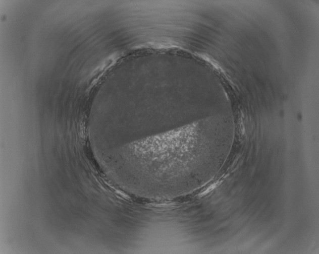 X0000074261110200609081729