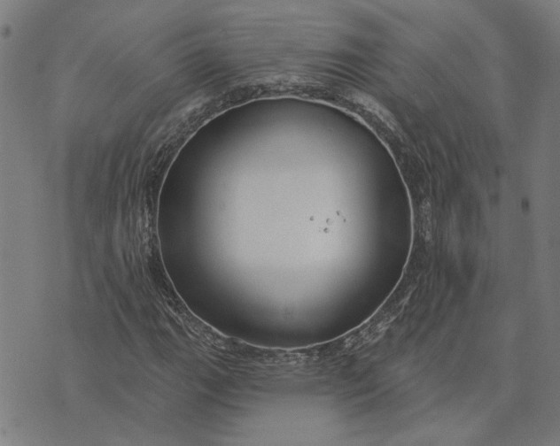 X0000074261111200609081729