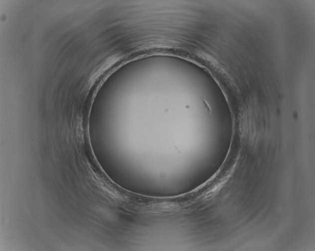 X0000074261113200609081729