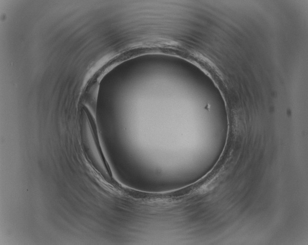 X0000074261114200609081729