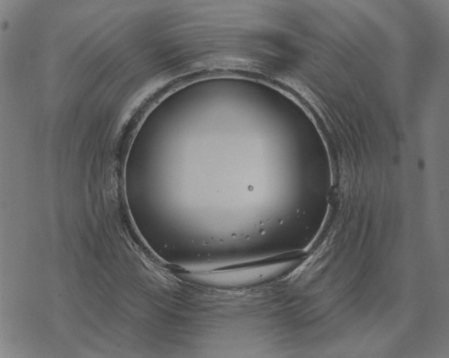 X0000074261115200609081729