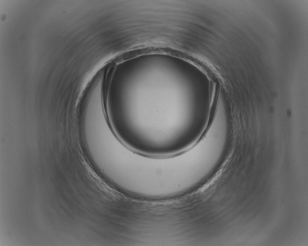 X0000074261118200609081729