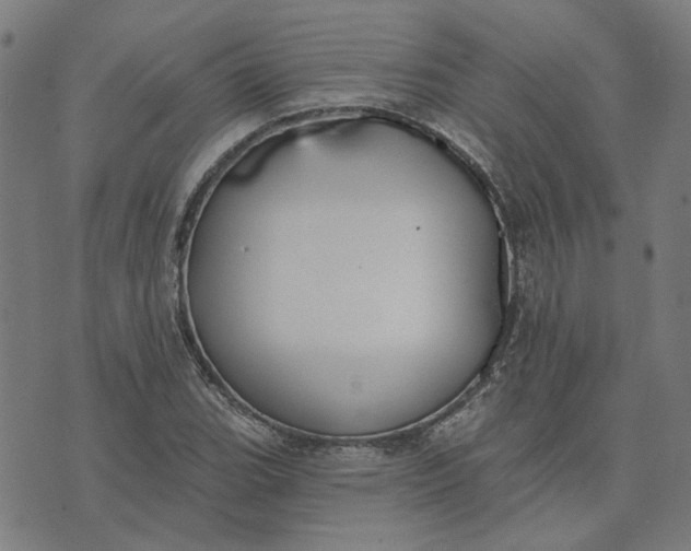 X0000074261119200609081729