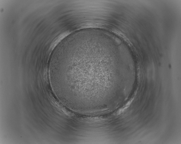 X0000074261121200609081729