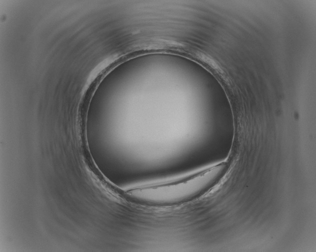 X0000074261122200609081729