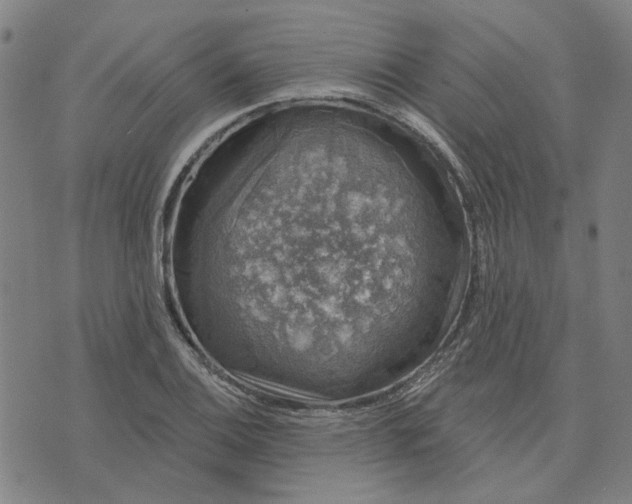 X0000074261124200609081729