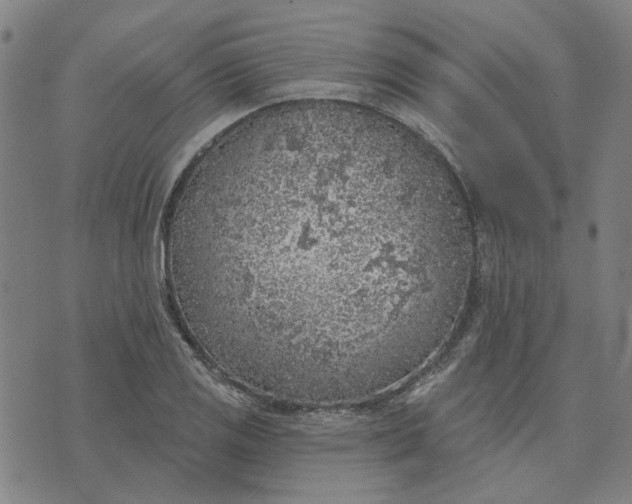 X0000074261125200609081729