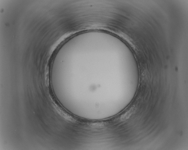 X0000074261126200609081729