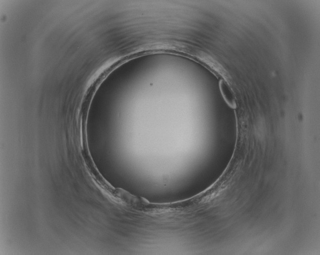 X0000074261127200609081729