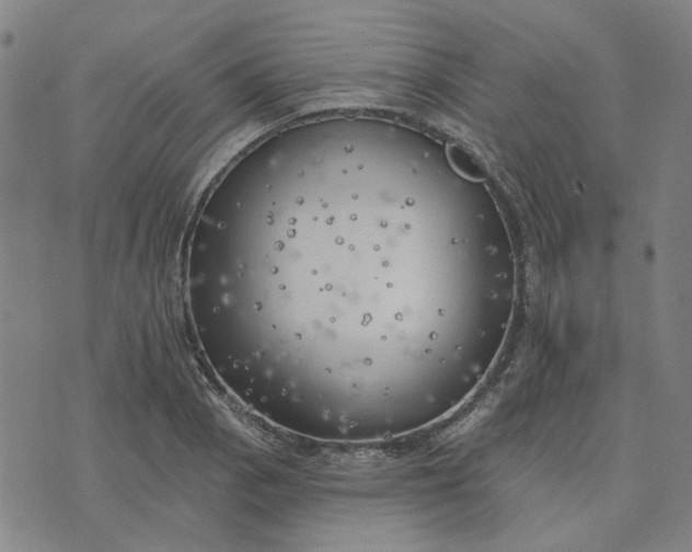 X0000074261129200609081729