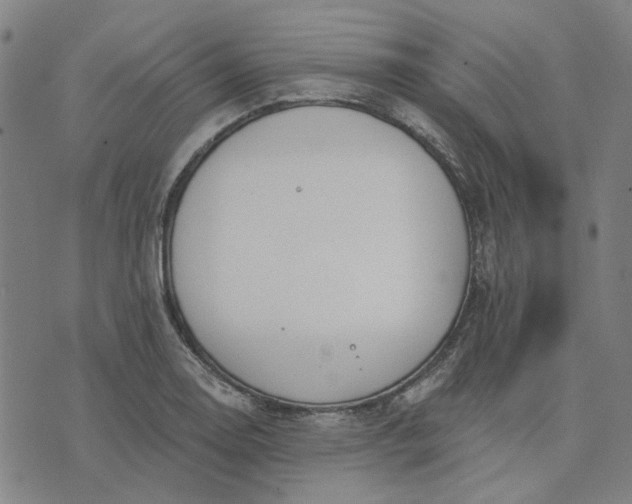 X0000074261130200609081729