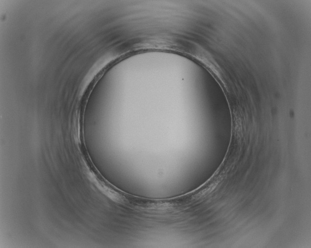 X0000074261131200609081729