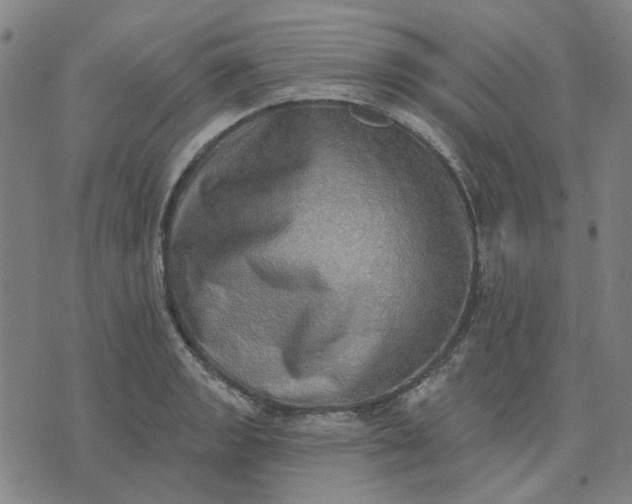 X0000074261133200609081730