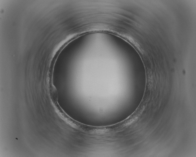 X0000074261134200609081730