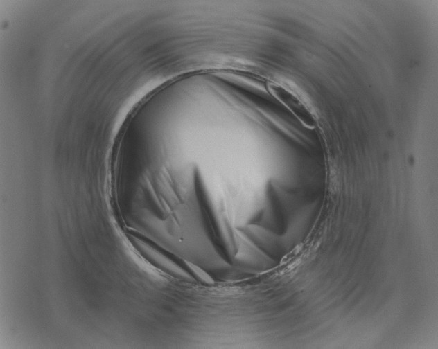 X0000074261136200609081730