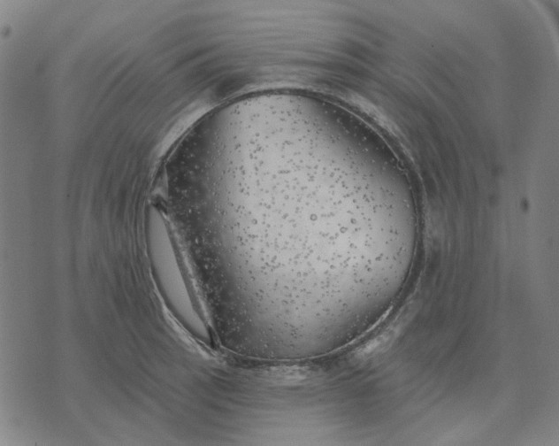 X0000074261137200609081730