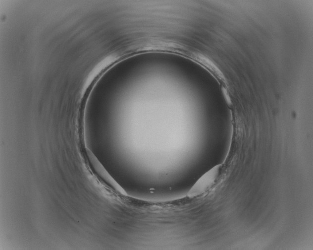 X0000074261138200609081730