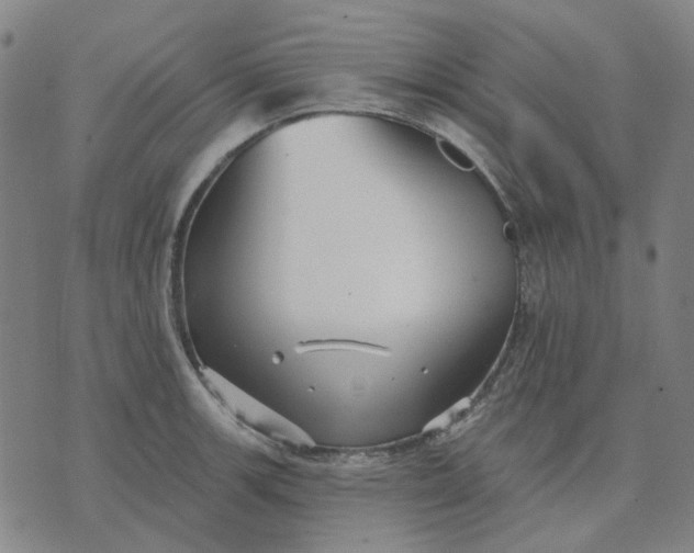 X0000074261139200609081730