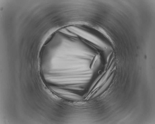 X0000074261140200609081730