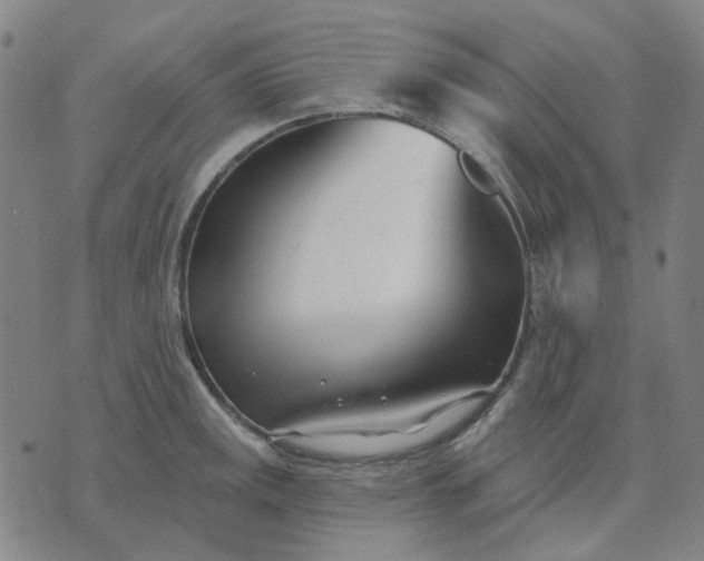 X0000074261141200609081730