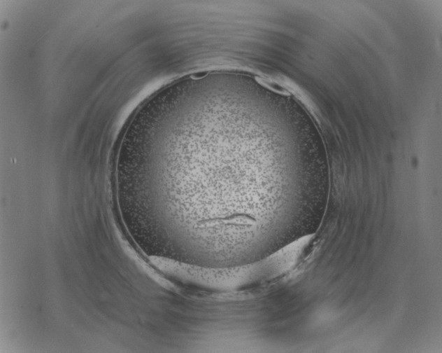 X0000074261142200609081730