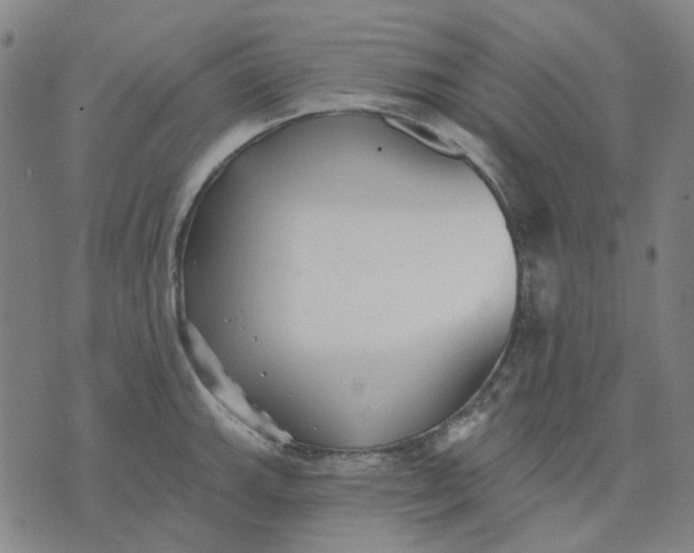 X0000074261143200609081730