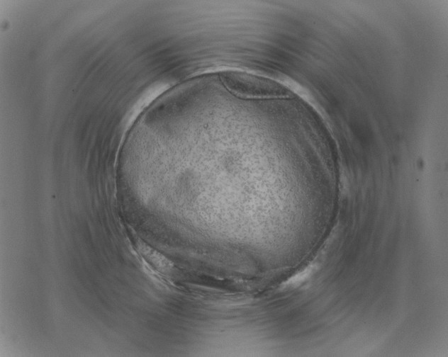 X0000074261145200609081730