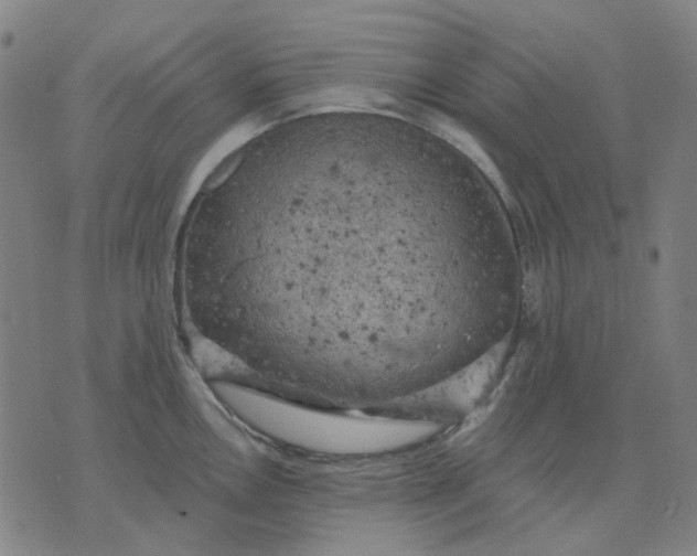 X0000074261146200609081730