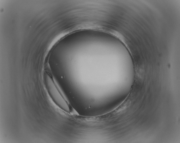 X0000074261147200609081730