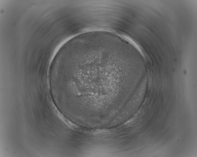 X0000074261148200609081730