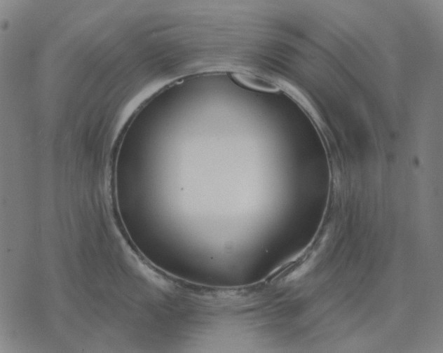 X0000074261149200609081730