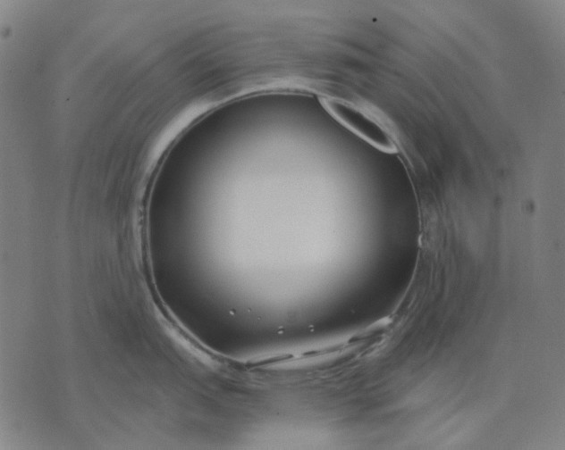 X0000074261151200609081730