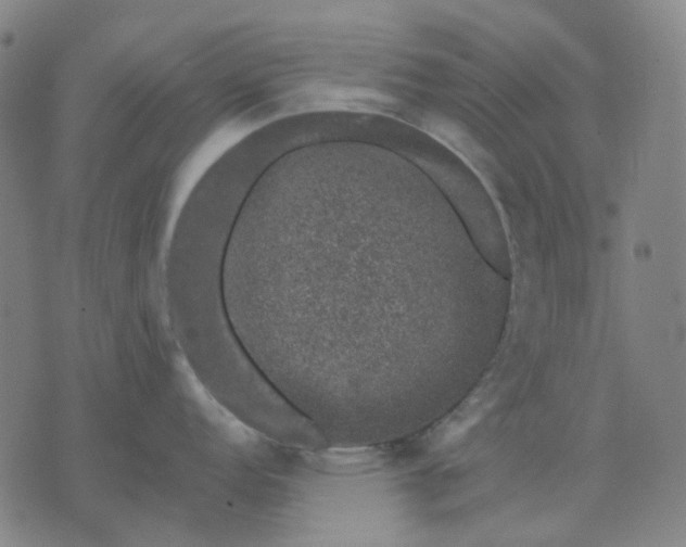 X0000074261152200609081730