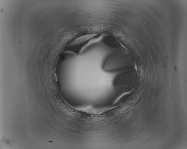 X0000074261153200609081729