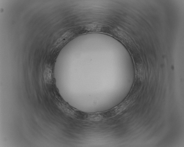 X0000074261154200609081729