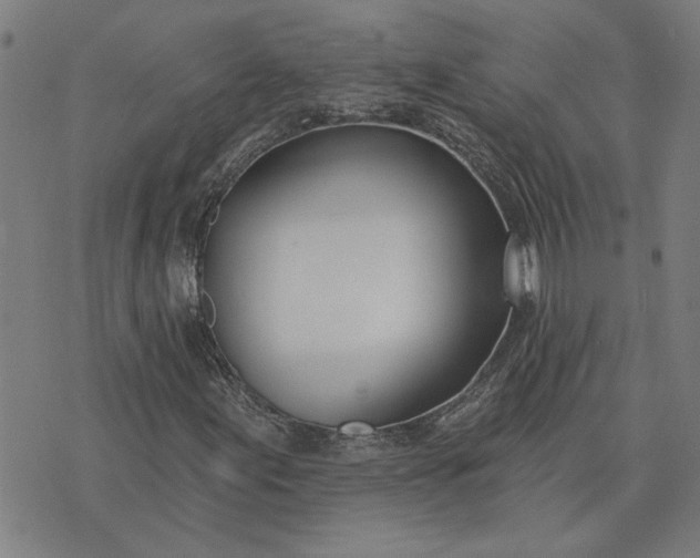 X0000074261155200609081729