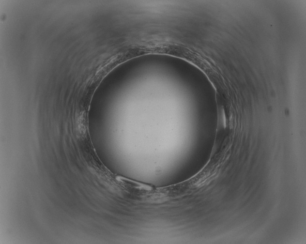 X0000074261156200609081729