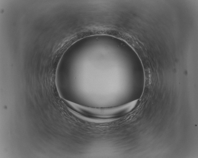 X0000074261157200609081729